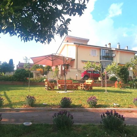 Da Piero E Gina Hotel Palidoro Luaran gambar