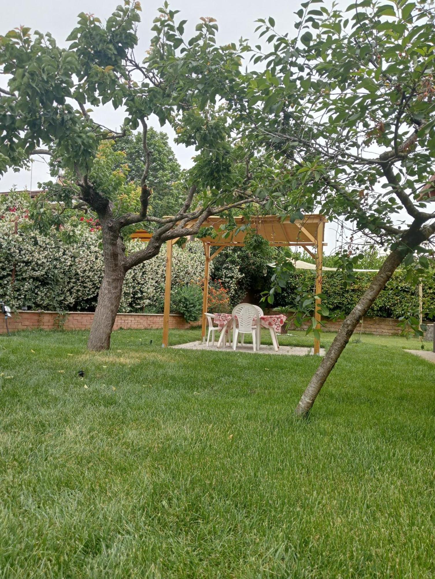 Da Piero E Gina Hotel Palidoro Bilik gambar